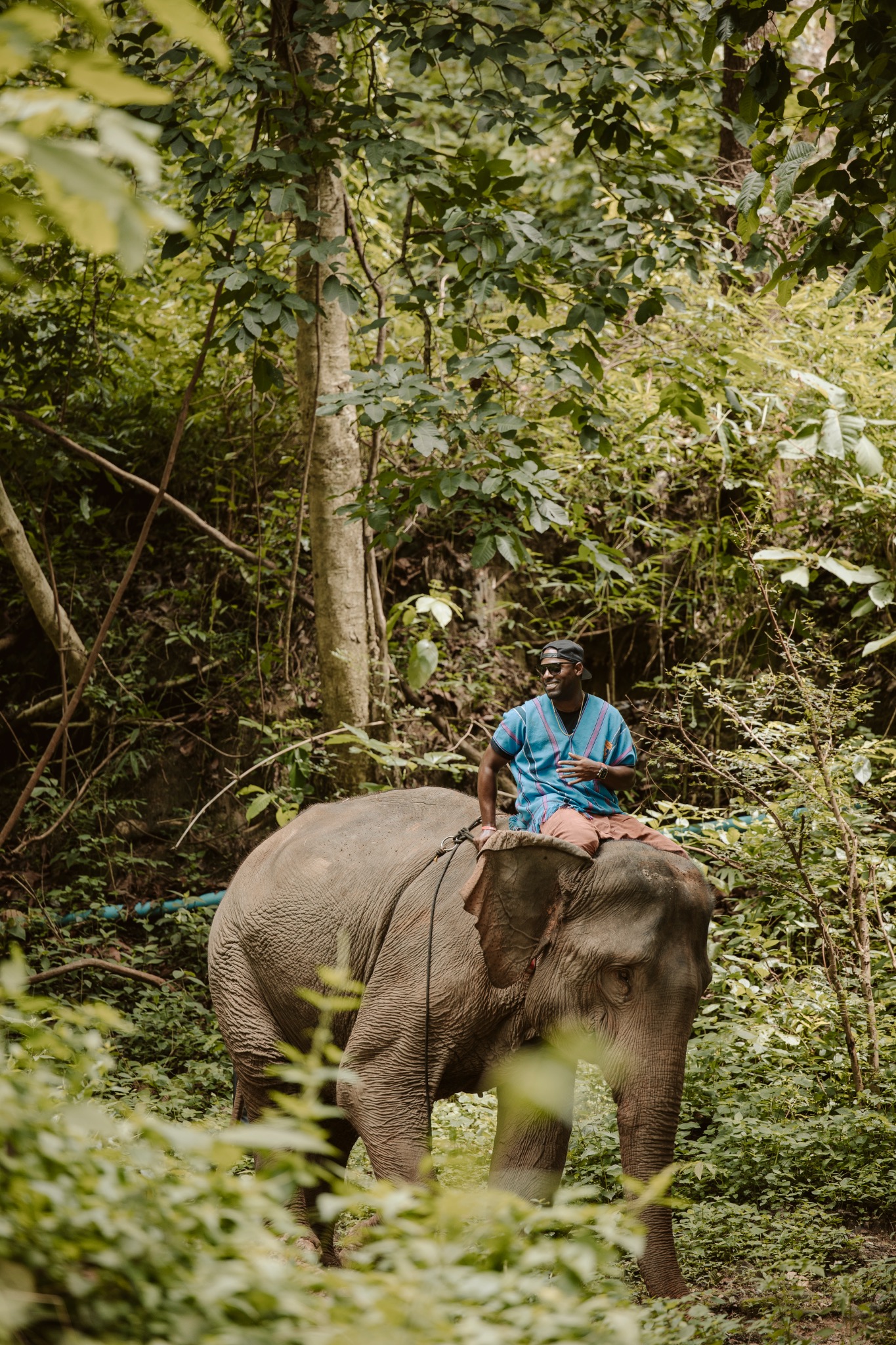 Quay riding an elephant through the greenery