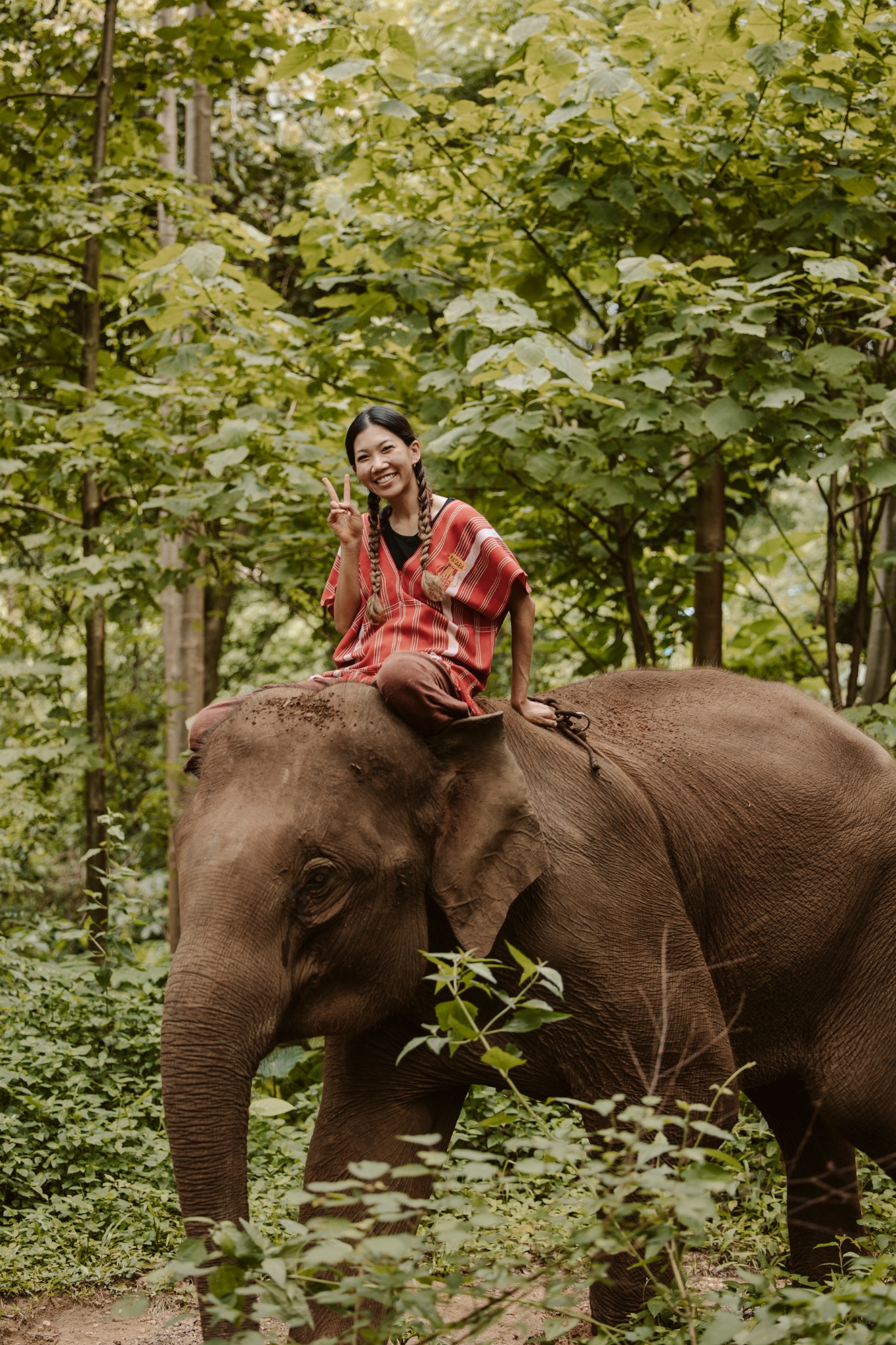 Stephanie riding an elephant through the greenery