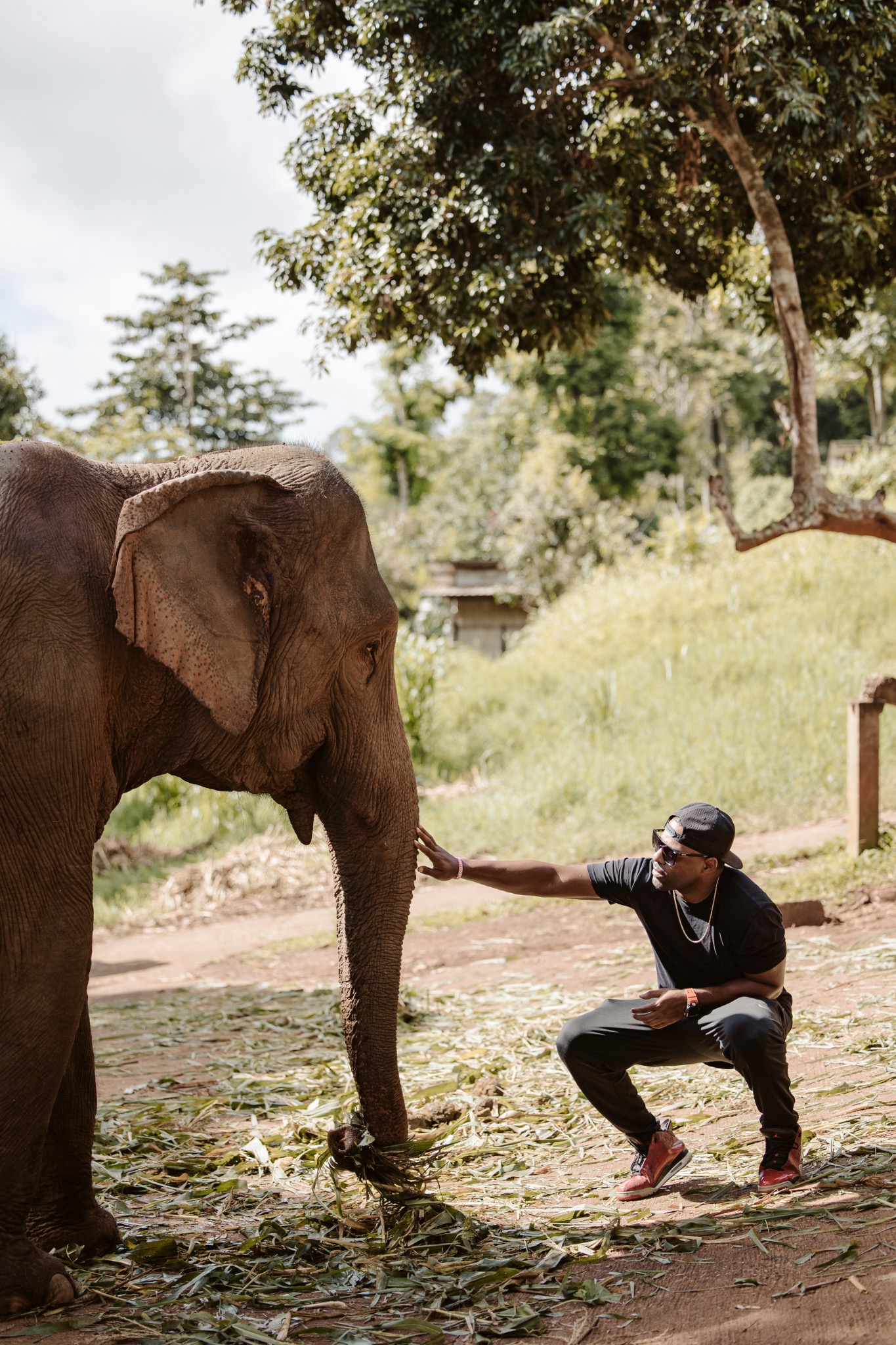 Quay beside an elephant in a wooded clearing
