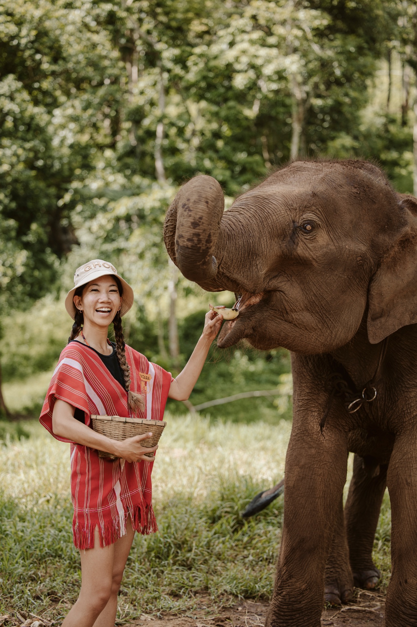 Stephanie greeting an elephant