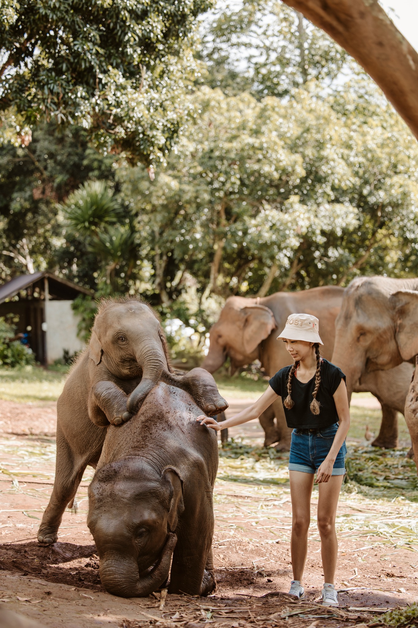 Stephanie and Quay together on an elephant visit
